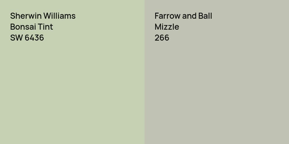 Sherwin Williams Bonsai Tint vs. Farrow and Ball Mizzle