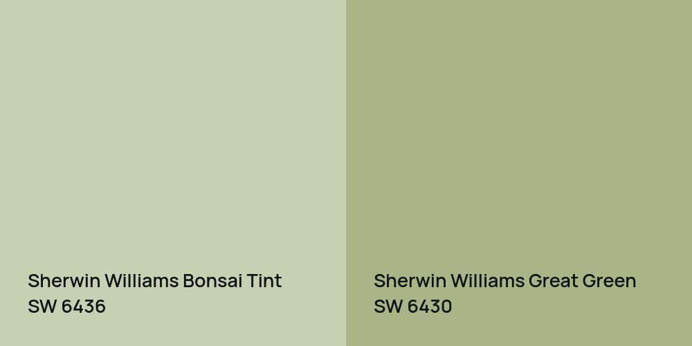 Sherwin Williams Bonsai Tint vs. Sherwin Williams Great Green