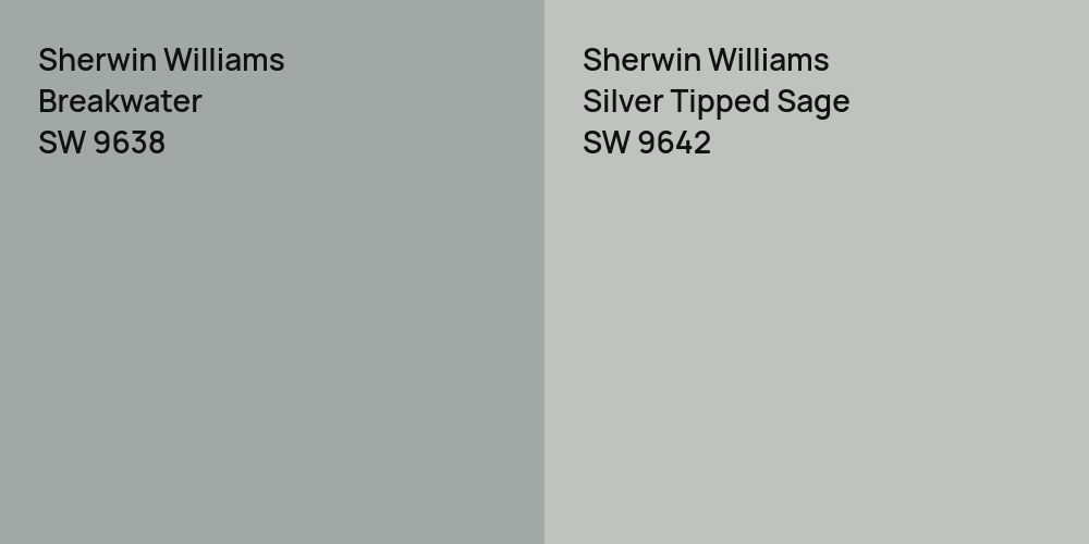 Sherwin Williams Breakwater vs. Sherwin Williams Silver Tipped Sage