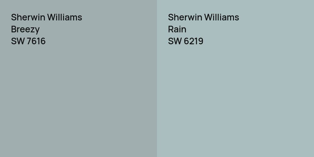 Sherwin Williams Breezy vs. Sherwin Williams Rain