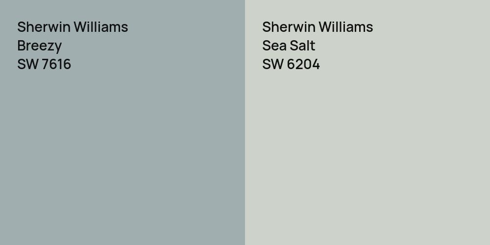 Sherwin Williams Breezy vs. Sherwin Williams Sea Salt