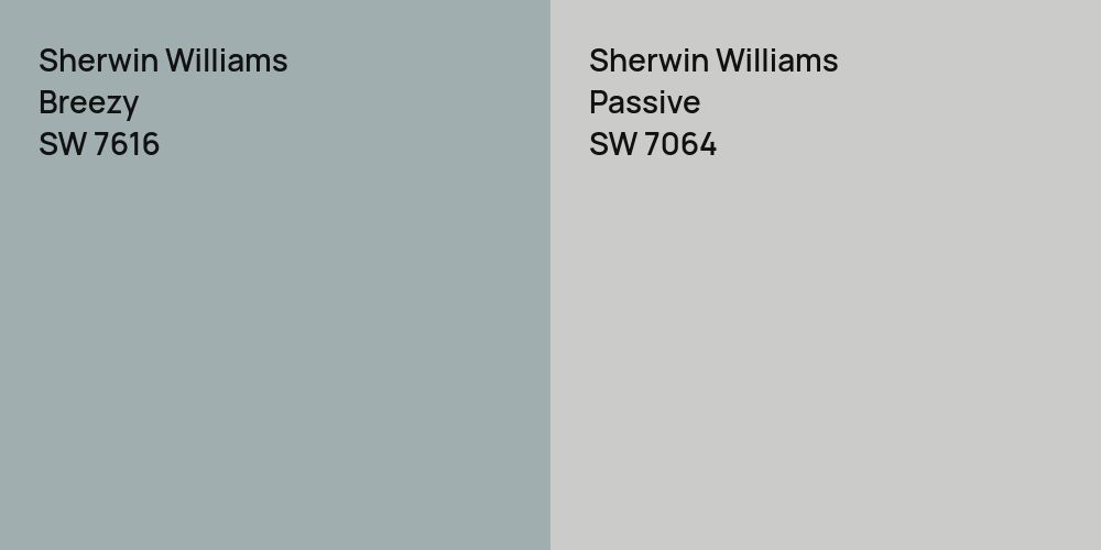 Sherwin Williams Breezy vs. Sherwin Williams Passive