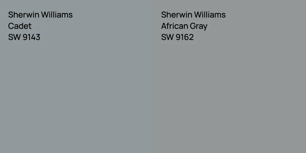 Sherwin Williams Cadet vs. Sherwin Williams African Gray