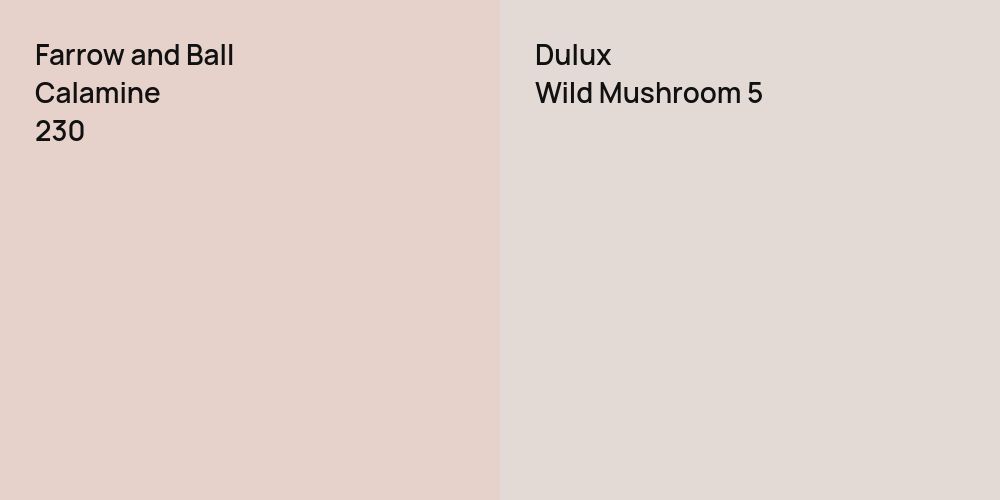 Farrow and Ball Calamine vs. Dulux Wild Mushroom 5