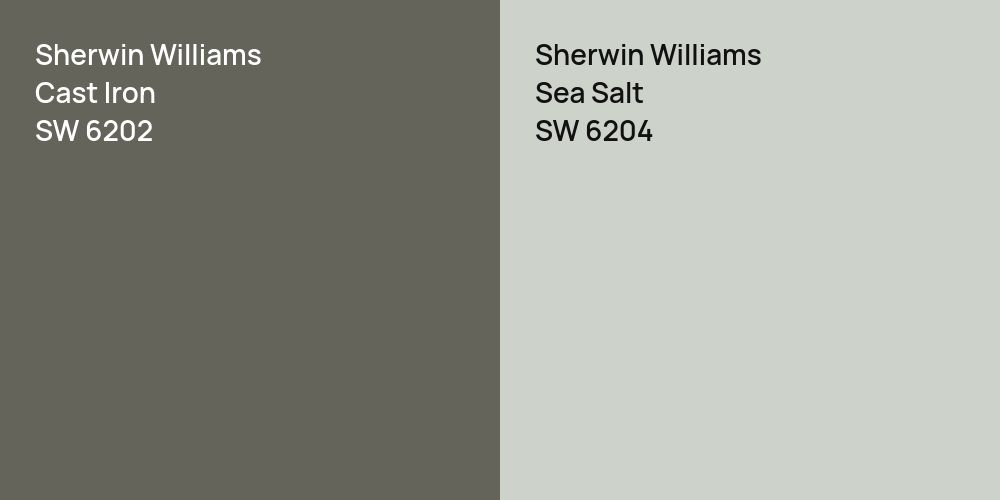 Sherwin Williams Cast Iron vs. Sherwin Williams Sea Salt