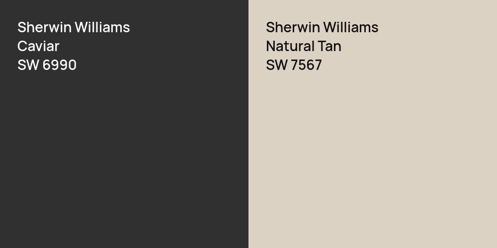 Sherwin Williams Caviar vs. Sherwin Williams Natural Tan