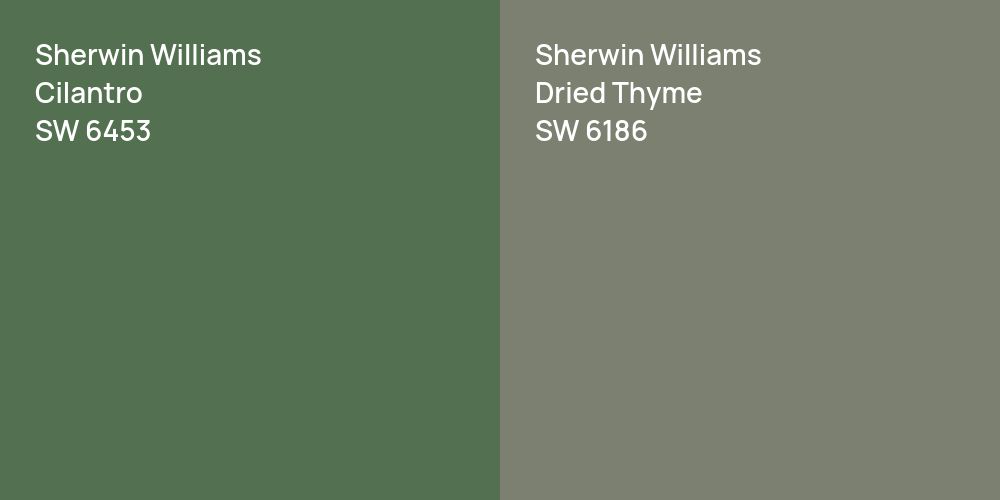 Sherwin Williams Cilantro vs. Sherwin Williams Dried Thyme