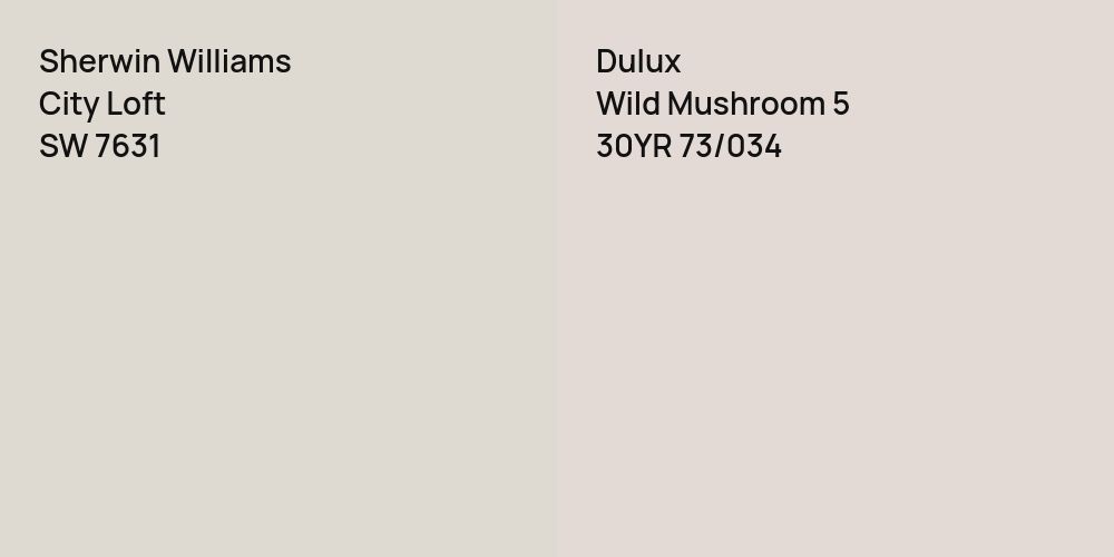 Sherwin Williams City Loft vs. Dulux Wild Mushroom 5