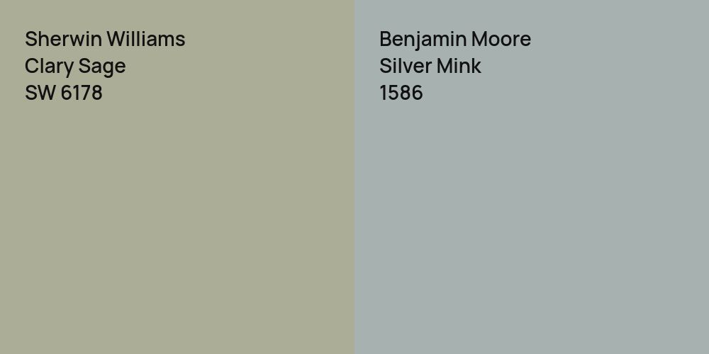 Sherwin Williams Clary Sage vs. Benjamin Moore Silver Mink