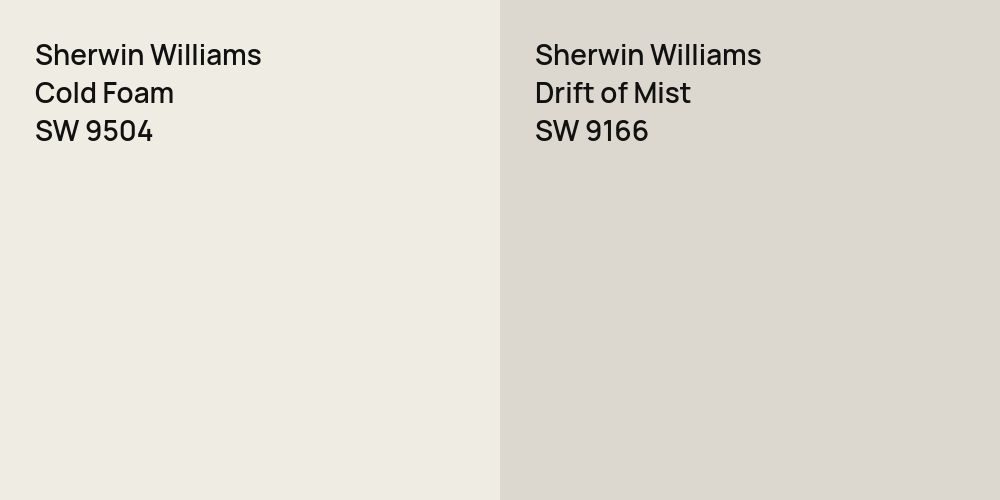 Sherwin Williams Cold Foam vs. Sherwin Williams Drift of Mist