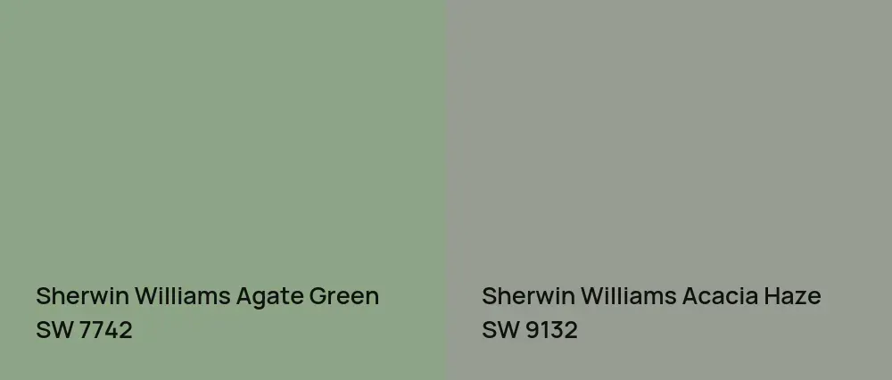 Sherwin Williams Agate Green SW 7742 vs Sherwin Williams Acacia Haze SW 9132