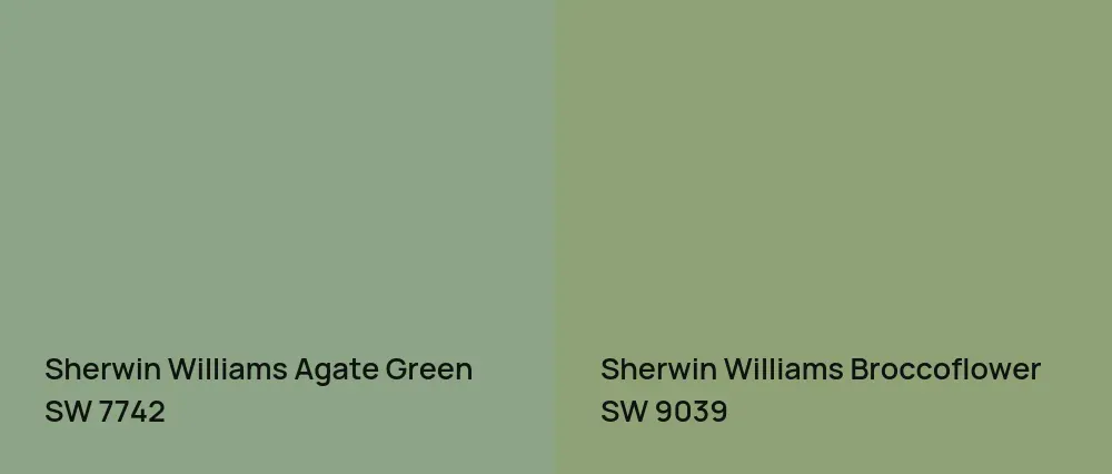 Sherwin Williams Agate Green SW 7742 vs Sherwin Williams Broccoflower SW 9039