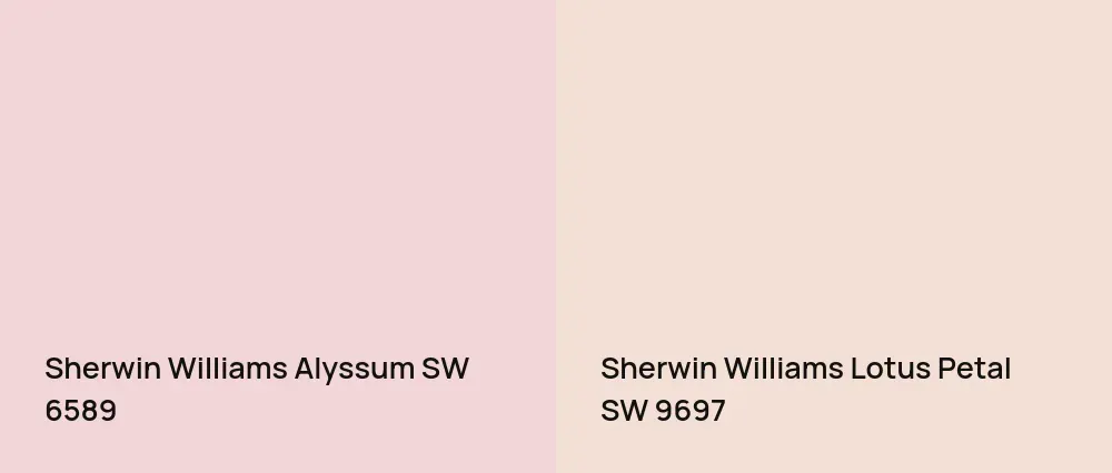 Sherwin Williams Alyssum SW 6589 vs Sherwin Williams Lotus Petal SW 9697
