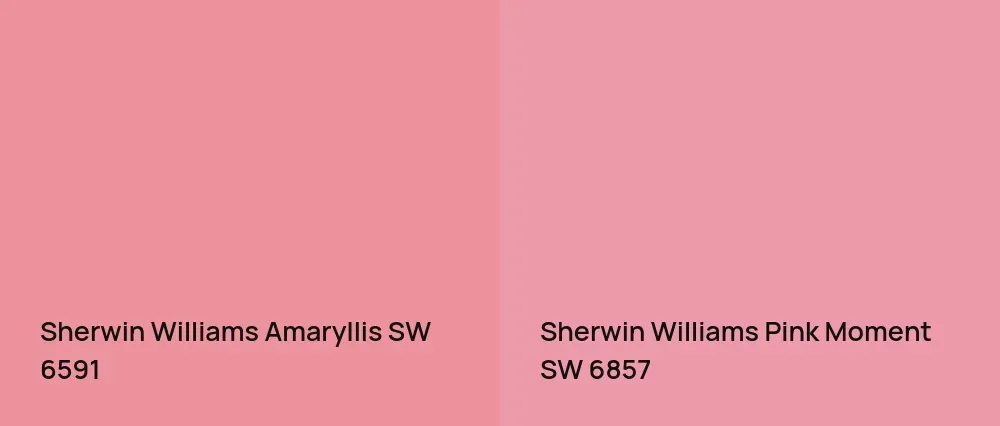 Sherwin Williams Amaryllis SW 6591 vs Sherwin Williams Pink Moment SW 6857