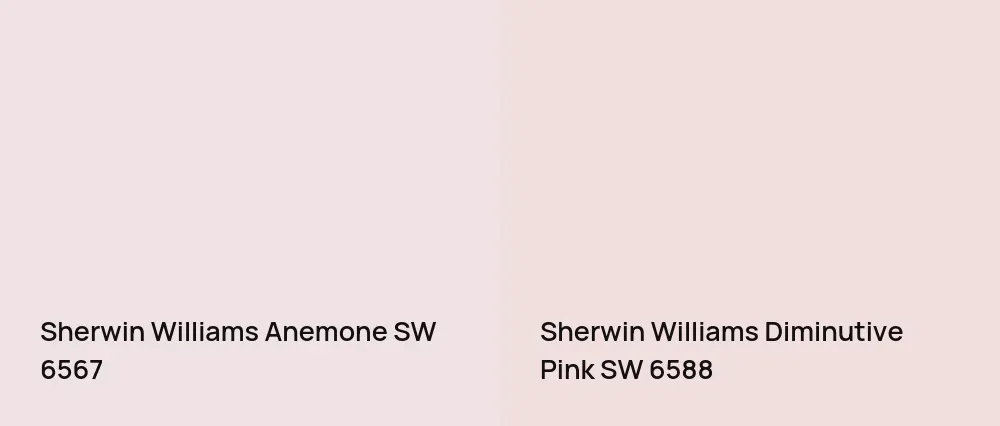 Sherwin Williams Anemone SW 6567 vs Sherwin Williams Diminutive Pink SW 6588