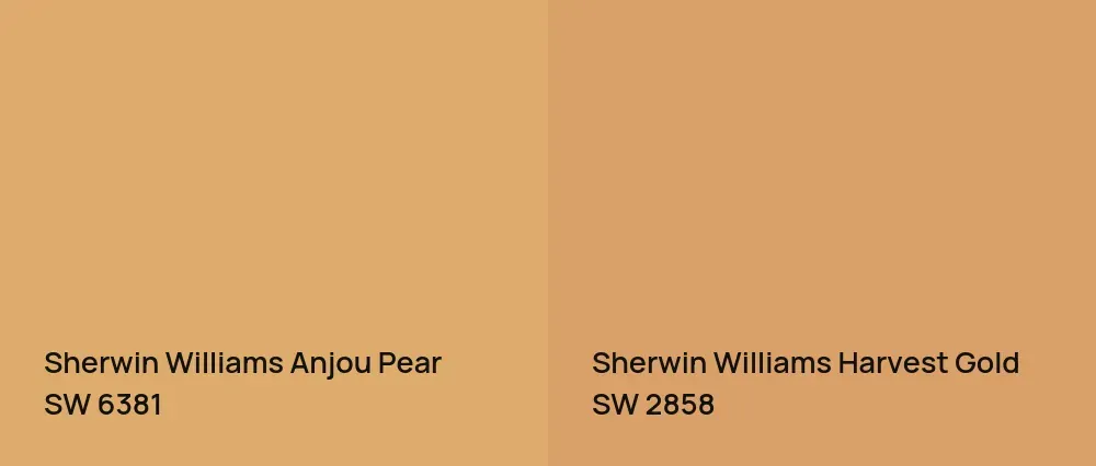 Sherwin Williams Anjou Pear SW 6381 vs Sherwin Williams Harvest Gold SW 2858