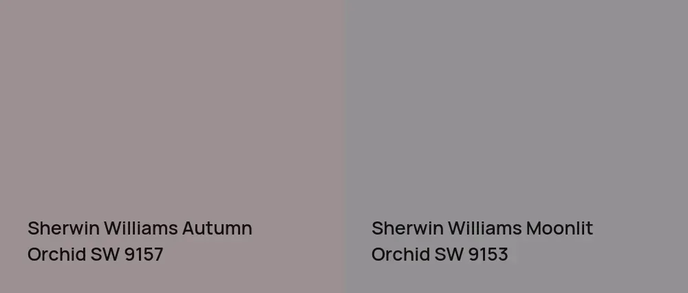Sherwin Williams Autumn Orchid SW 9157 vs Sherwin Williams Moonlit Orchid SW 9153