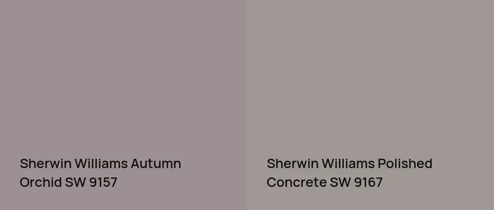 Sherwin Williams Autumn Orchid SW 9157 vs Sherwin Williams Polished Concrete SW 9167