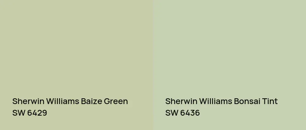Sherwin Williams Baize Green SW 6429 vs Sherwin Williams Bonsai Tint SW 6436