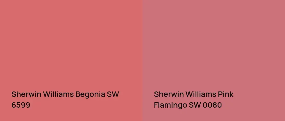 Sherwin Williams Begonia SW 6599 vs Sherwin Williams Pink Flamingo SW 0080