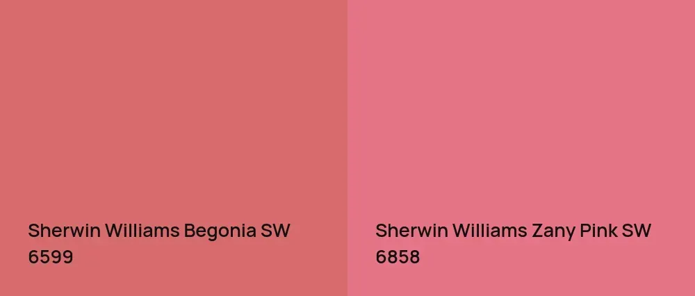 Sherwin Williams Begonia SW 6599 vs Sherwin Williams Zany Pink SW 6858
