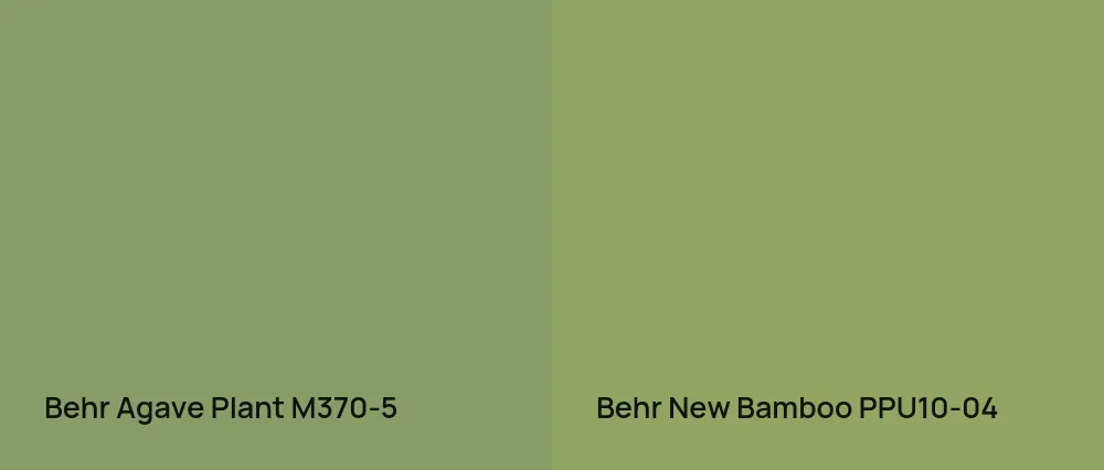 Behr Agave Plant M370-5 vs Behr New Bamboo PPU10-04