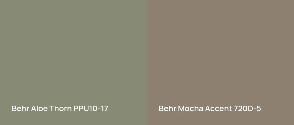 Behr Aloe Thorn PPU10-17 vs Behr Mocha Accent 720D-5