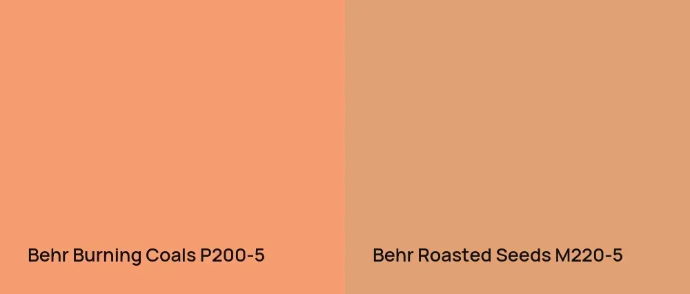 Behr Burning Coals P200-5 vs Behr Roasted Seeds M220-5
