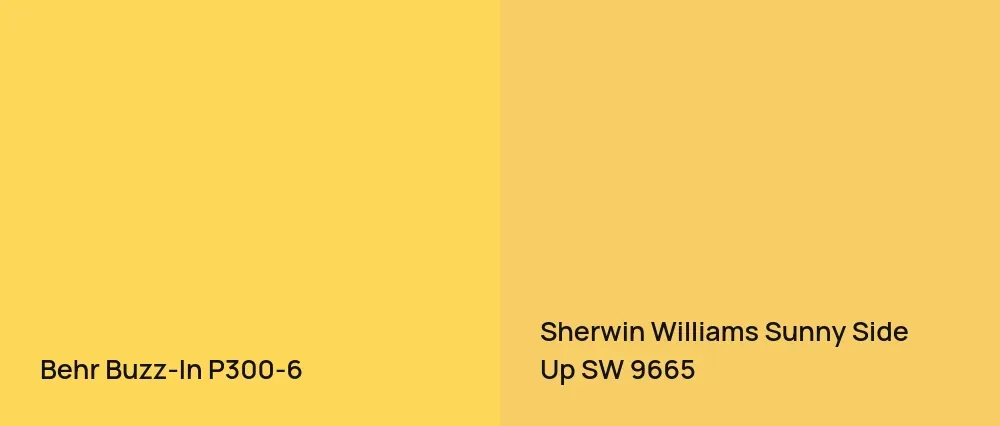 Behr Buzz-In P300-6 vs Sherwin Williams Sunny Side Up SW 9665