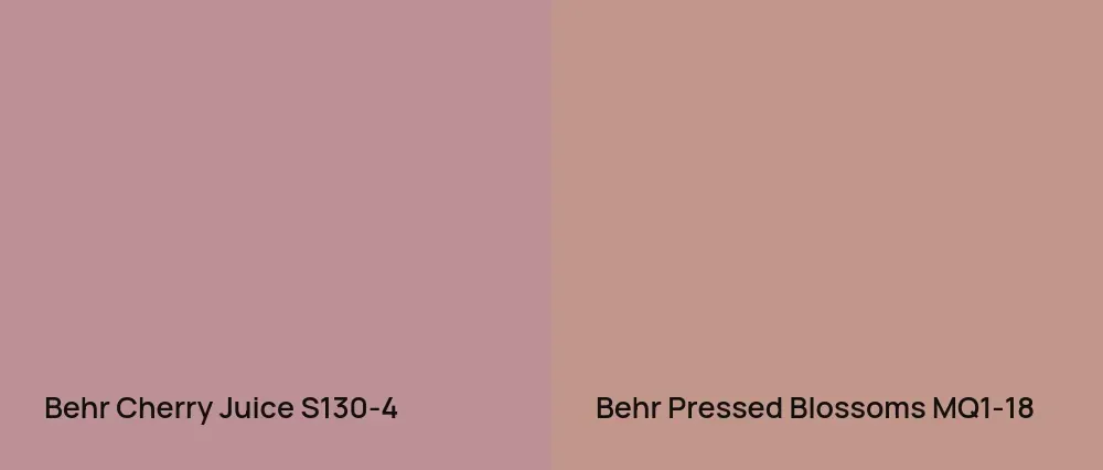 Behr Cherry Juice S130-4 vs Behr Pressed Blossoms MQ1-18