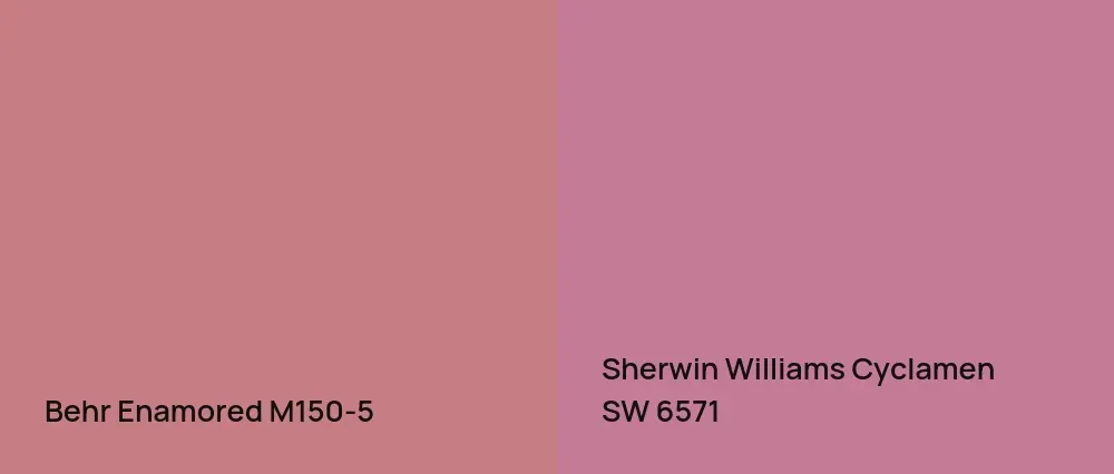 Behr Enamored M150-5 vs Sherwin Williams Cyclamen SW 6571