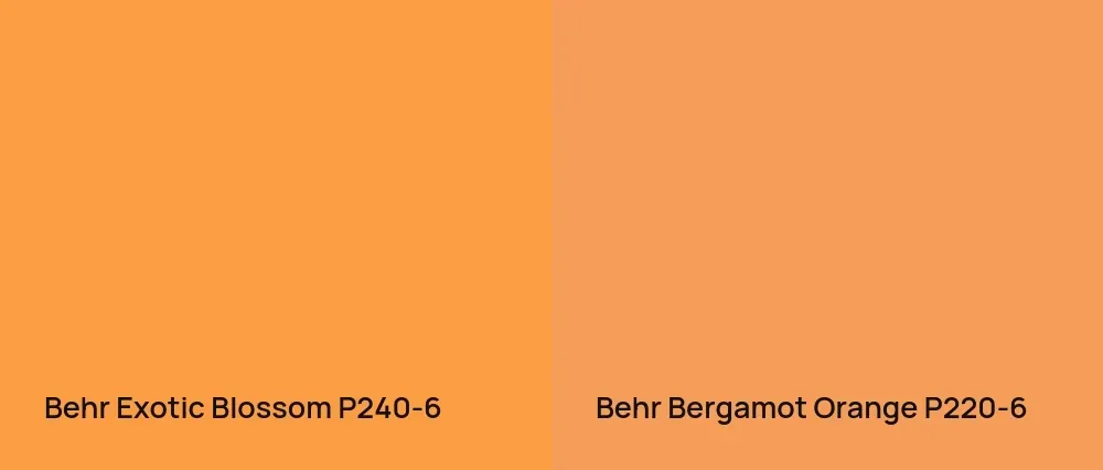Behr Exotic Blossom P240-6 vs Behr Bergamot Orange P220-6