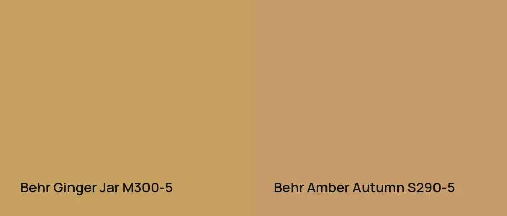 Behr Ginger Jar M300-5 vs Behr Amber Autumn S290-5