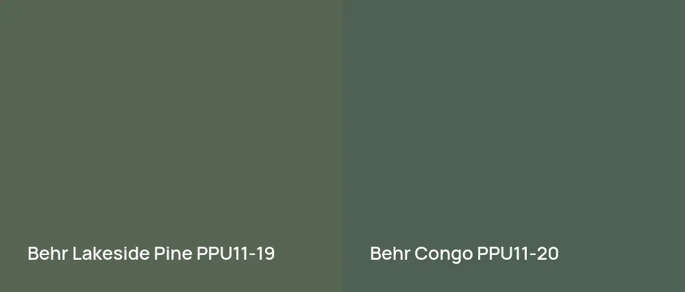 Behr Lakeside Pine PPU11-19 vs Behr Congo PPU11-20