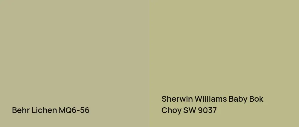 Behr Lichen MQ6-56 vs Sherwin Williams Baby Bok Choy SW 9037