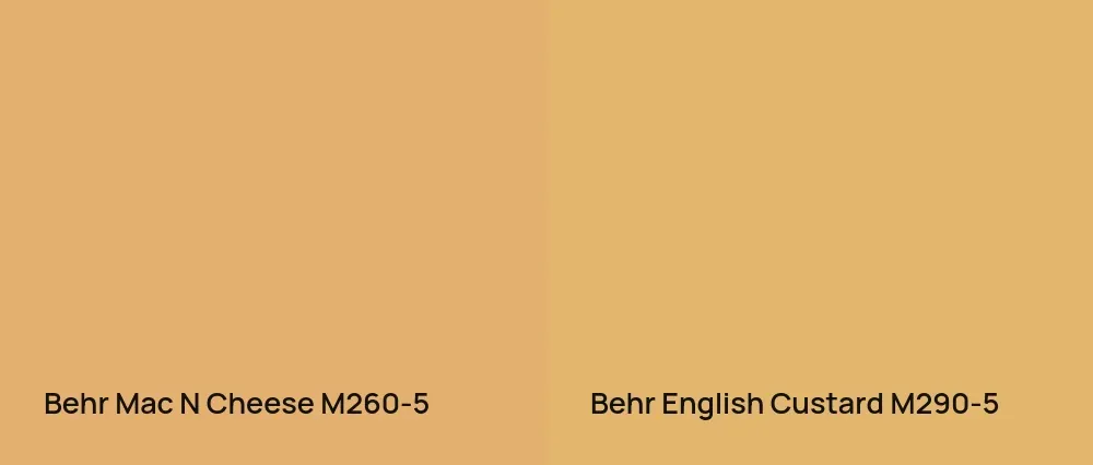 Behr Mac N Cheese M260-5 vs Behr English Custard M290-5