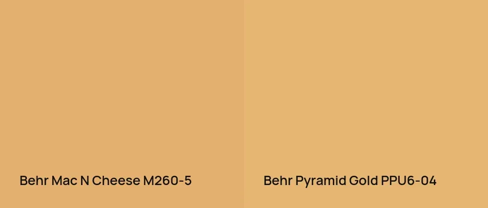 Behr Mac N Cheese M260-5 vs Behr Pyramid Gold PPU6-04