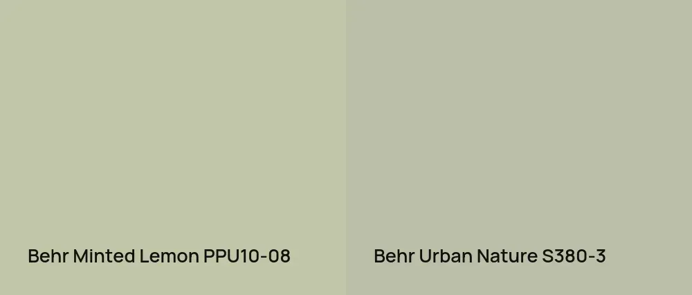 Behr Minted Lemon PPU10-08 vs Behr Urban Nature S380-3