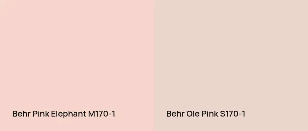 Behr Pink Elephant M170-1 vs Behr Ole Pink S170-1