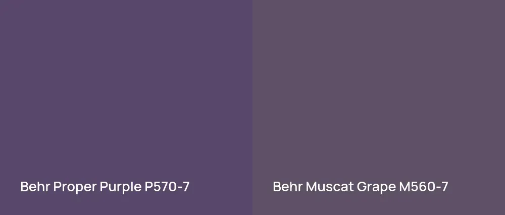 Behr Proper Purple P570-7 vs Behr Muscat Grape M560-7