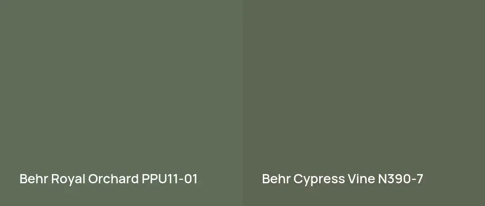 Behr Royal Orchard PPU11-01 vs Behr Cypress Vine N390-7