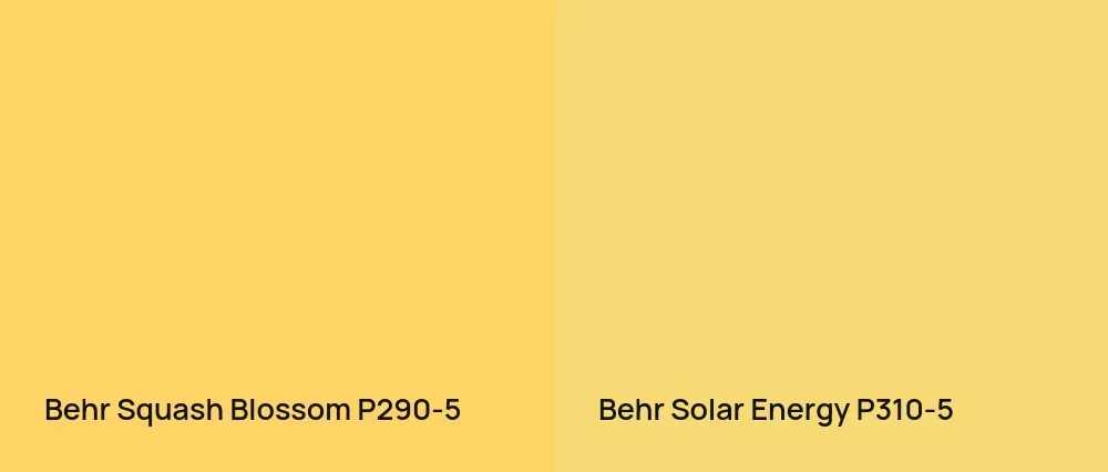 Behr Squash Blossom P290-5 vs Behr Solar Energy P310-5