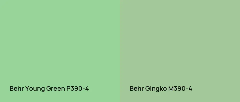 Behr Young Green P390-4 vs Behr Gingko M390-4