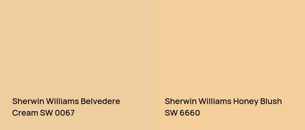 Sherwin Williams Belvedere Cream SW 0067 vs Sherwin Williams Honey Blush SW 6660