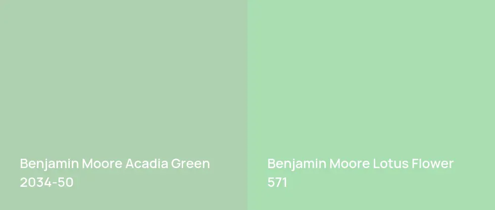 Benjamin Moore Acadia Green 2034-50 vs Benjamin Moore Lotus Flower 571