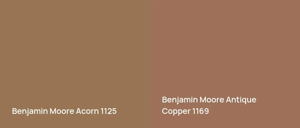 Benjamin Moore Acorn 1125 vs Benjamin Moore Antique Copper 1169