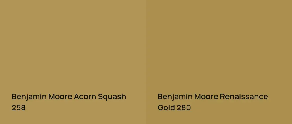 Benjamin Moore Acorn Squash 258 vs Benjamin Moore Renaissance Gold 280