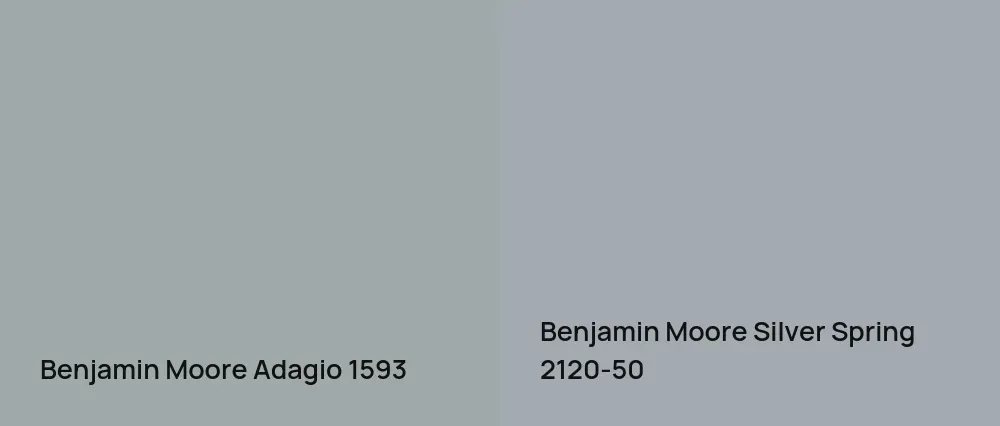 Benjamin Moore Adagio 1593 vs Benjamin Moore Silver Spring 2120-50