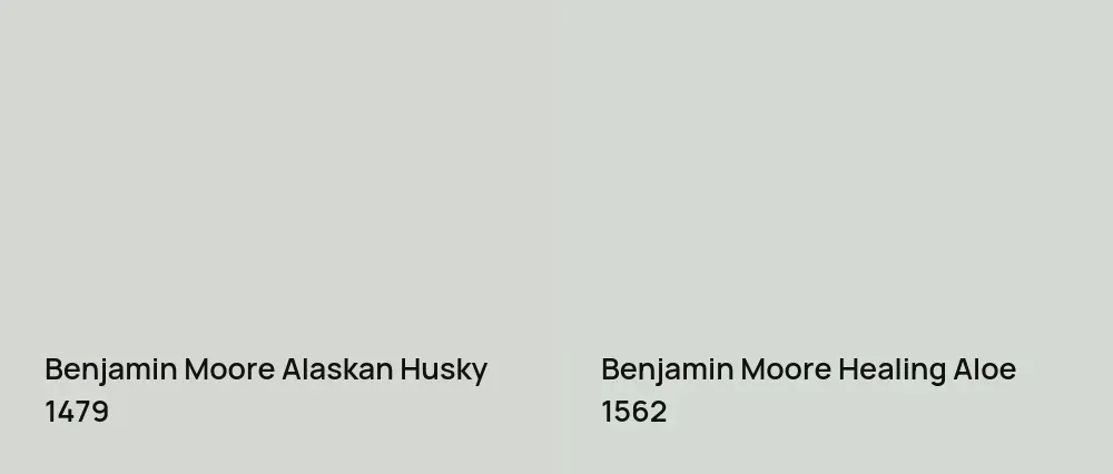 Benjamin Moore Alaskan Husky 1479 vs Benjamin Moore Healing Aloe 1562