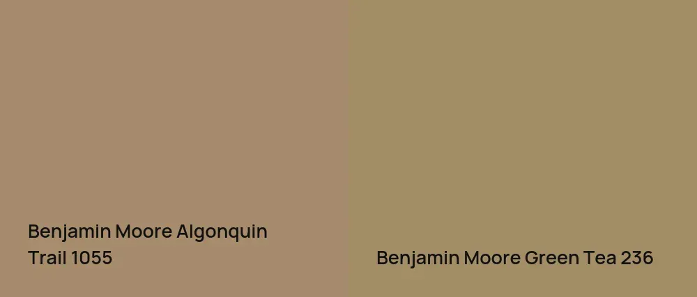 Benjamin Moore Algonquin Trail 1055 vs Benjamin Moore Green Tea 236
